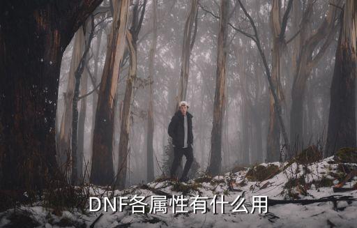 DNF各属性有什么用