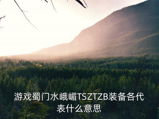 游戏蜀门水峨嵋TSZTZB装备各代表什么意思