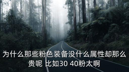 为什么那些粉色装备没什么属性却那么贵呢 比如30 40粉太啊