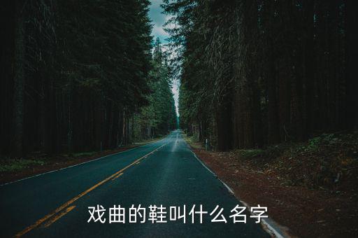 戏曲的鞋叫什么名字