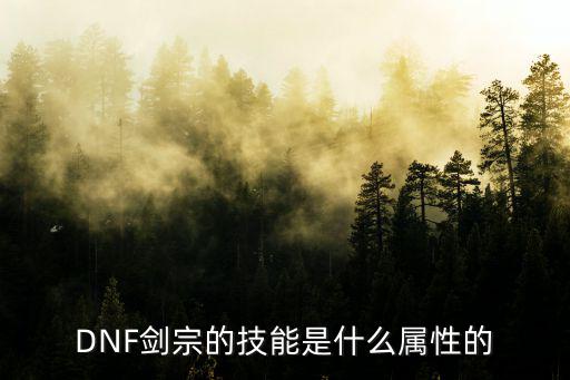 dnf剑宗用什么属性，DNF剑宗的技能是什么属性的