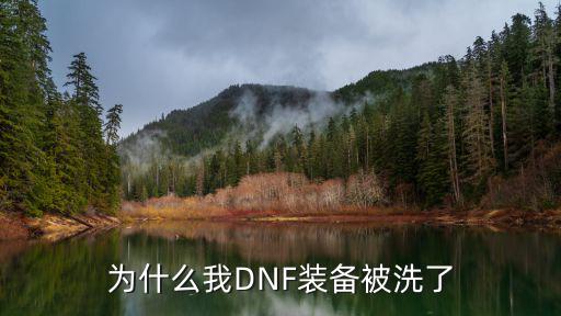 为什么我DNF装备被洗了