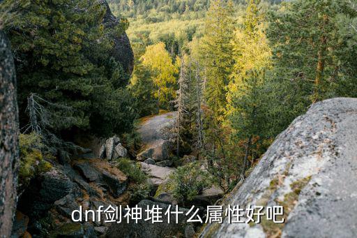 dnf剑神堆什么属性好吧