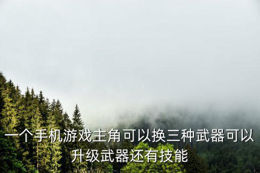 什么游戏装备可以更换技能，一个大型的国外单机游戏手游是闯关的换一个主武器就可以换技