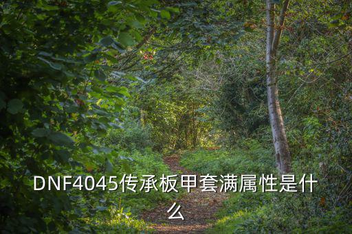 为什么DNF板甲属性高，DNF4045传承板甲套满属性是什么