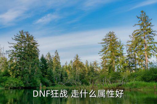 DNF狂战 走什么属性好