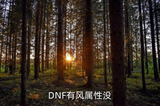 DNF有风属性没