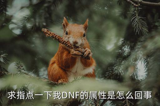 求指点一下我DNF的属性是怎么回事