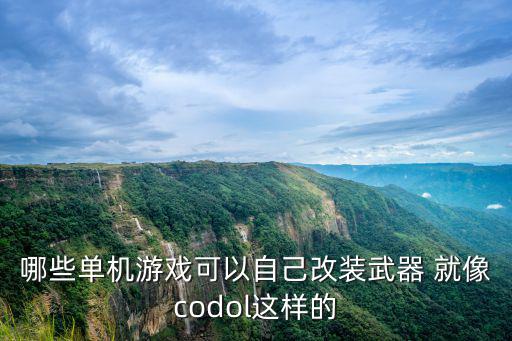 游戏装备能换什么武器，哪些单机游戏可以自己改装武器 就像codol这样的