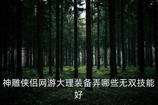 游戏装备无双到什么，神雕侠侣网游大理装备弄哪些无双技能好