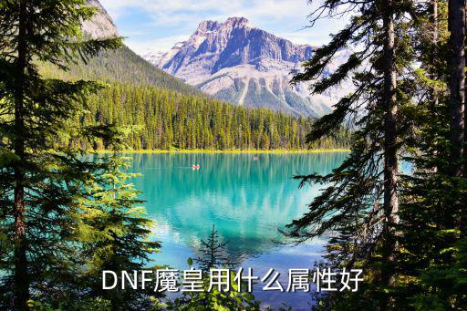 DNF魔皇用什么属性好