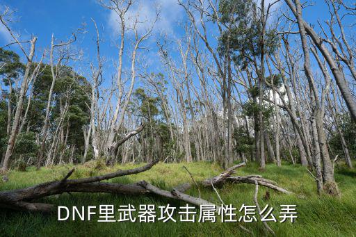 dnf攻击属性为什么没亮，DNF装备精通属性怎么不显示有图