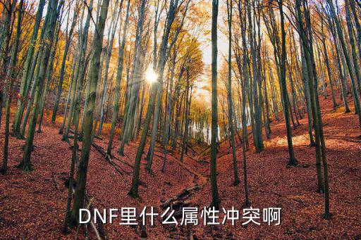 DNF里什么属性冲突啊