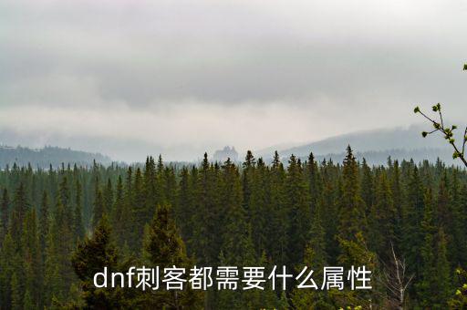 dnf刺客都需要什么属性