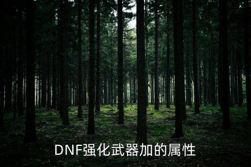 dnf武器加什么属性，dnf武器附魔什么属性好