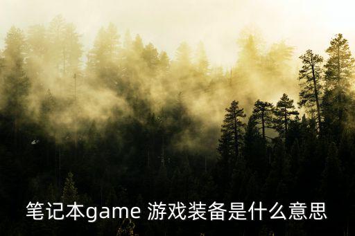 笔记本game 游戏装备是什么意思