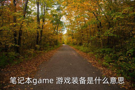 小伙去买游戏装备是什么梗，笔记本game 游戏装备是什么意思