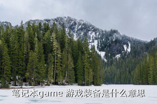 笔记本game 游戏装备是什么意思