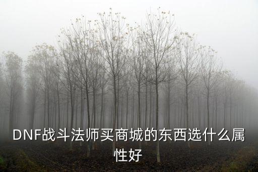 DNF战斗法师买商城的东西选什么属性好