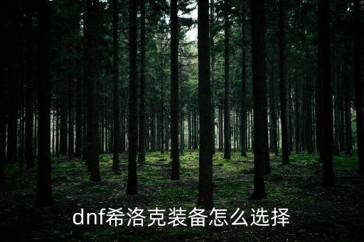 dnf希洛克装备怎么选择