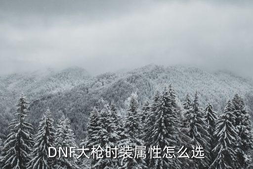 DNF大枪时装属性怎么选