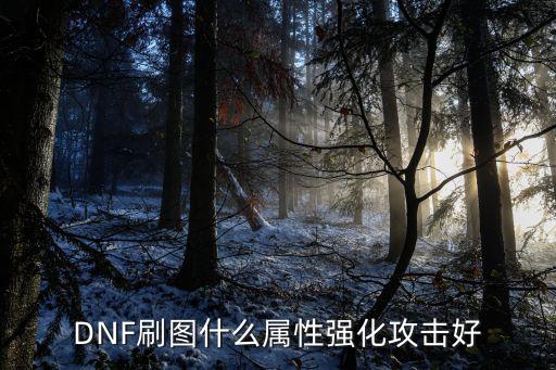 DNF刷图什么属性强化攻击好