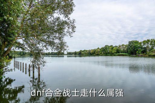 dnf合金战士走什么属强