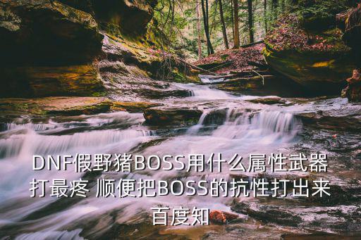 DNF假野猪BOSS用什么属性武器打最疼 顺便把BOSS的抗性打出来百度知