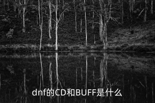 dnf的CD和BUFF是什么