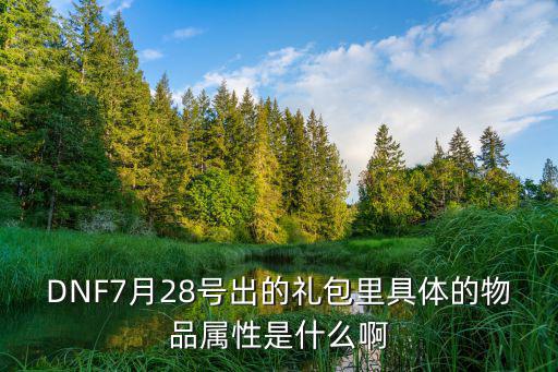 DNF7月28号出的礼包里具体的物品属性是什么啊