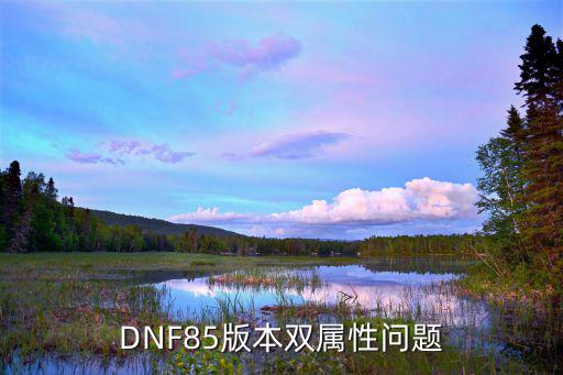 DNF85版本双属性问题