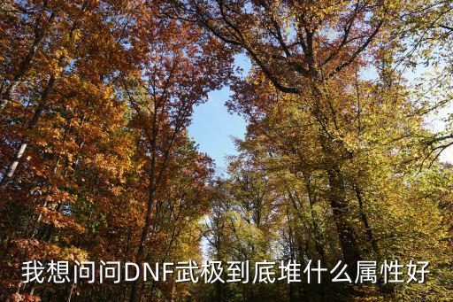 我想问问DNF武极到底堆什么属性好