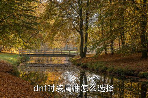 dnf时装属性怎么选择