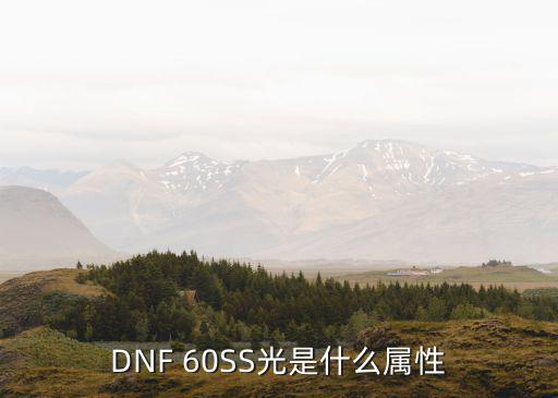 DNF 60SS光是什么属性