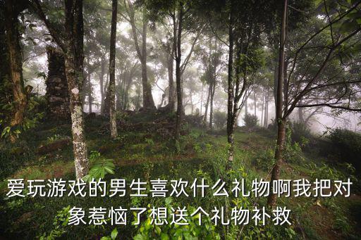 爱玩游戏的男生喜欢什么礼物啊我把对象惹恼了想送个礼物补救