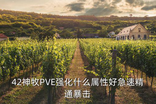 42神牧PVE强化什么属性好急速精通暴击