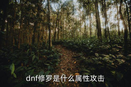 dnf修罗是什么属性攻击