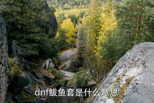 dnf鲅鱼套是什么意思