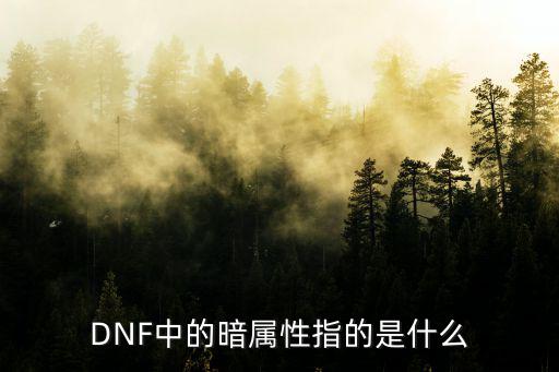 DNF中的暗属性指的是什么