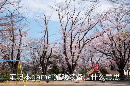 笔记本game 游戏装备是什么意思