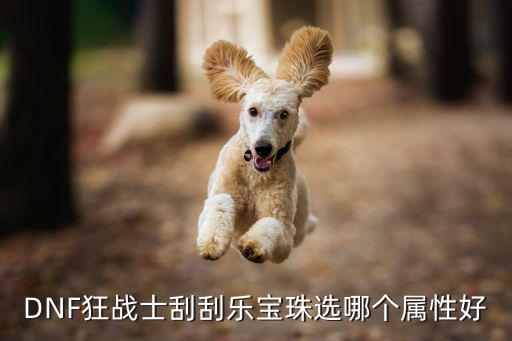 DNF狂战士刮刮乐宝珠选哪个属性好