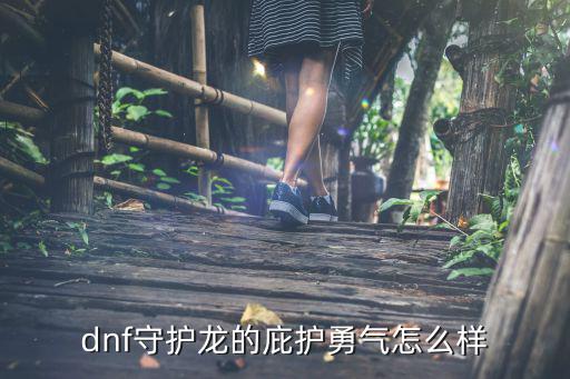 dnf守护龙的庇护勇气怎么样