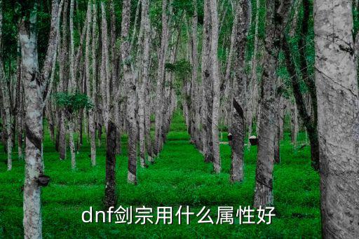 dnf剑宗用什么属性好