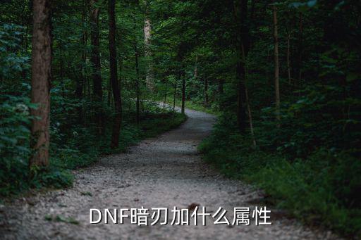 DNF暗刃加什么属性