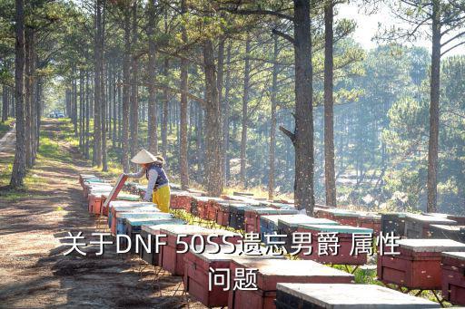 关于DNF 50SS遗忘男爵 属性问题