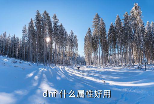 dnf 什么属性好用