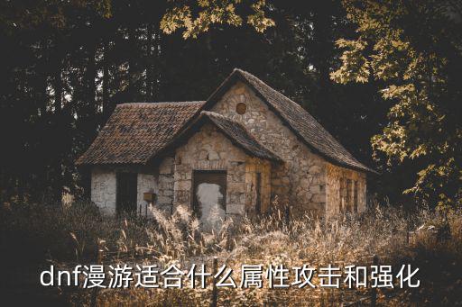 dnf漫游适合什么属性攻击和强化