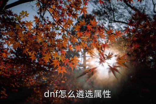 dnf什么选属性，dnf怎么遴选属性