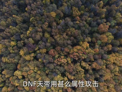 DNF天帝用甚么属性攻击