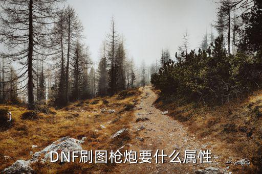 DNF刷图枪炮要什么属性